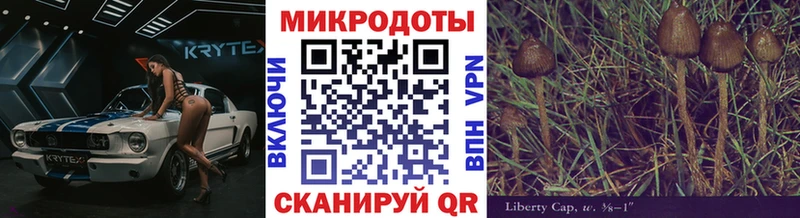 Галлюциногенные грибы Psilocybine cubensis  Усть-Кут 